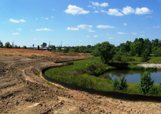 Vegetated Buffer Zone Photo